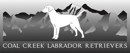 Coal Creek Labrador Retrievers Logo