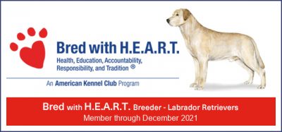 Bred with H.E.A.R.T. Approved Breeder