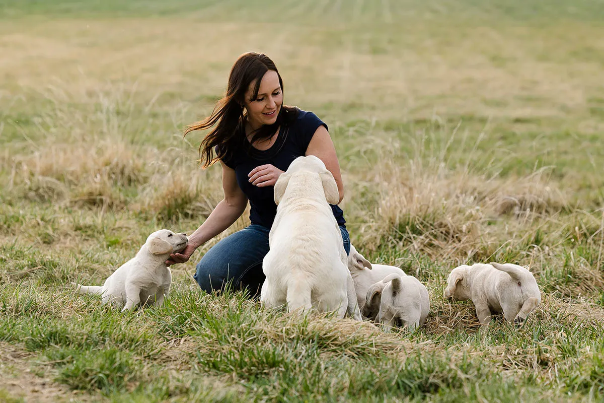 Jessica in a field with Bright and her litter of white lab puppies